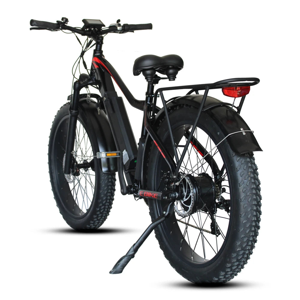 Electric Bike