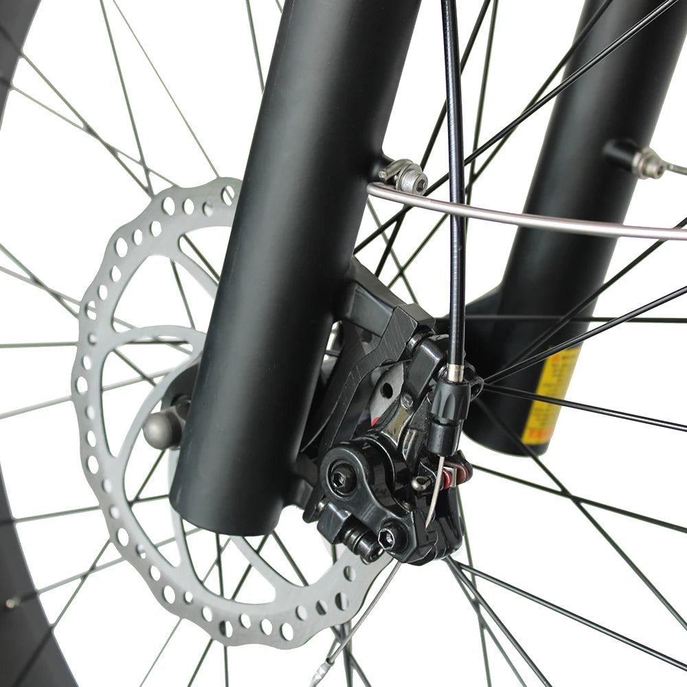 Electric Bike