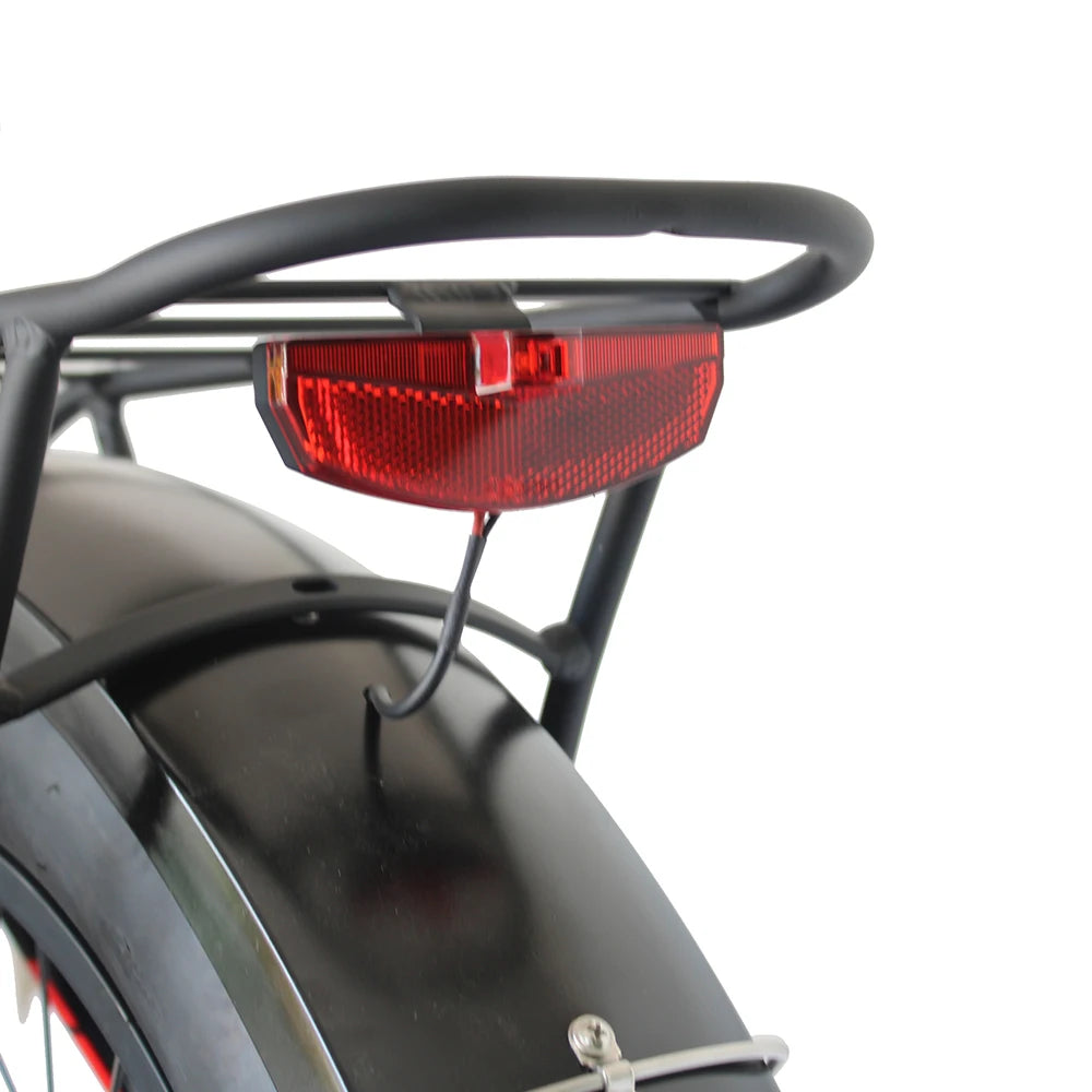 Electric Bike