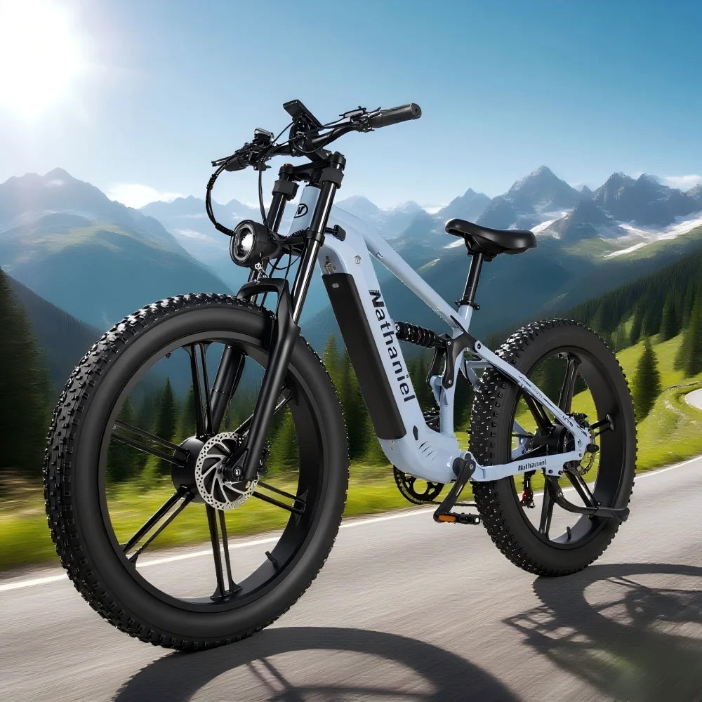 Nathaniel SYR09 26*4.0 electric bike