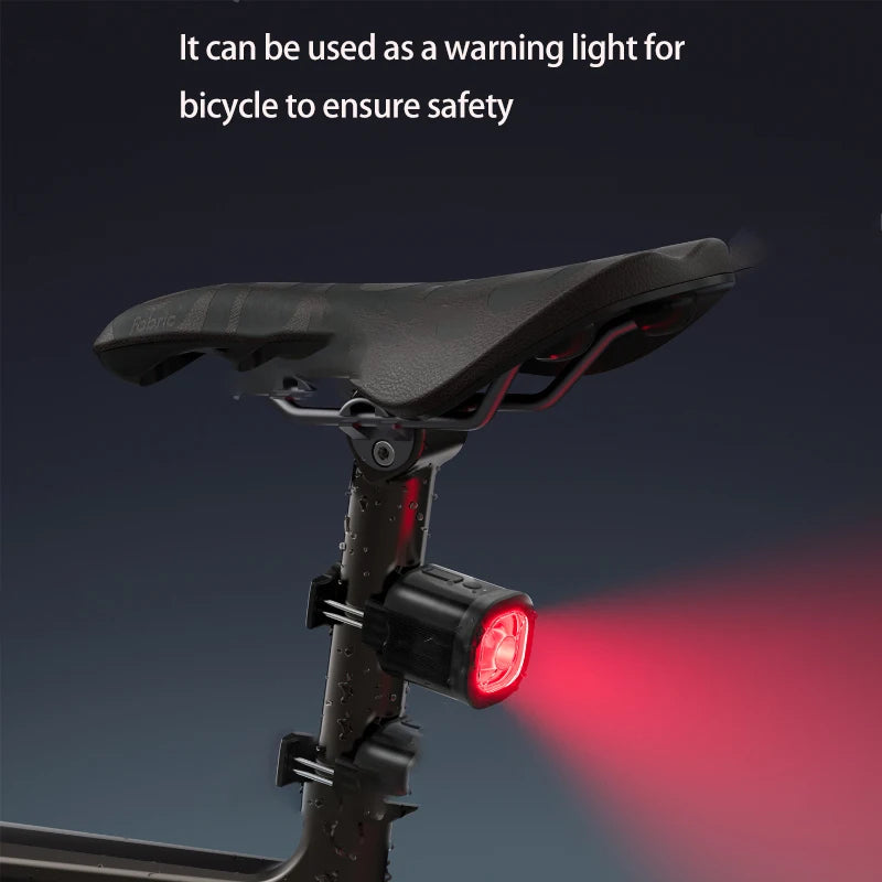 Multifunctional outdoor light