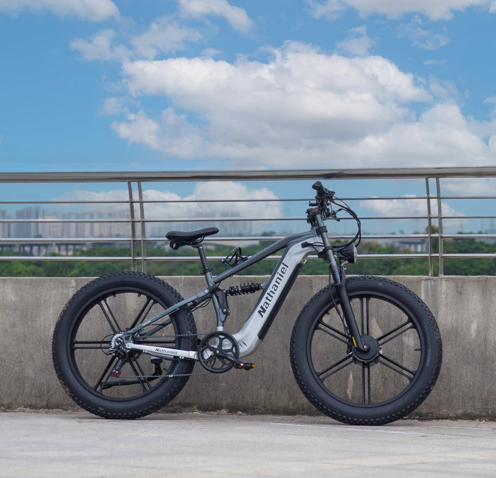 Nathaniel SYR09 26*4.0 electric bike