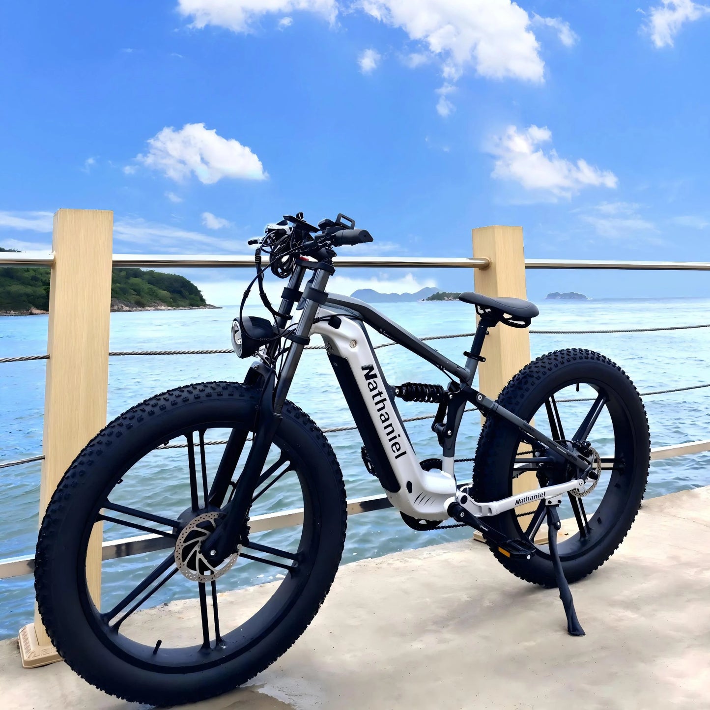 Nathaniel SYR09 26*4.0 electric bike