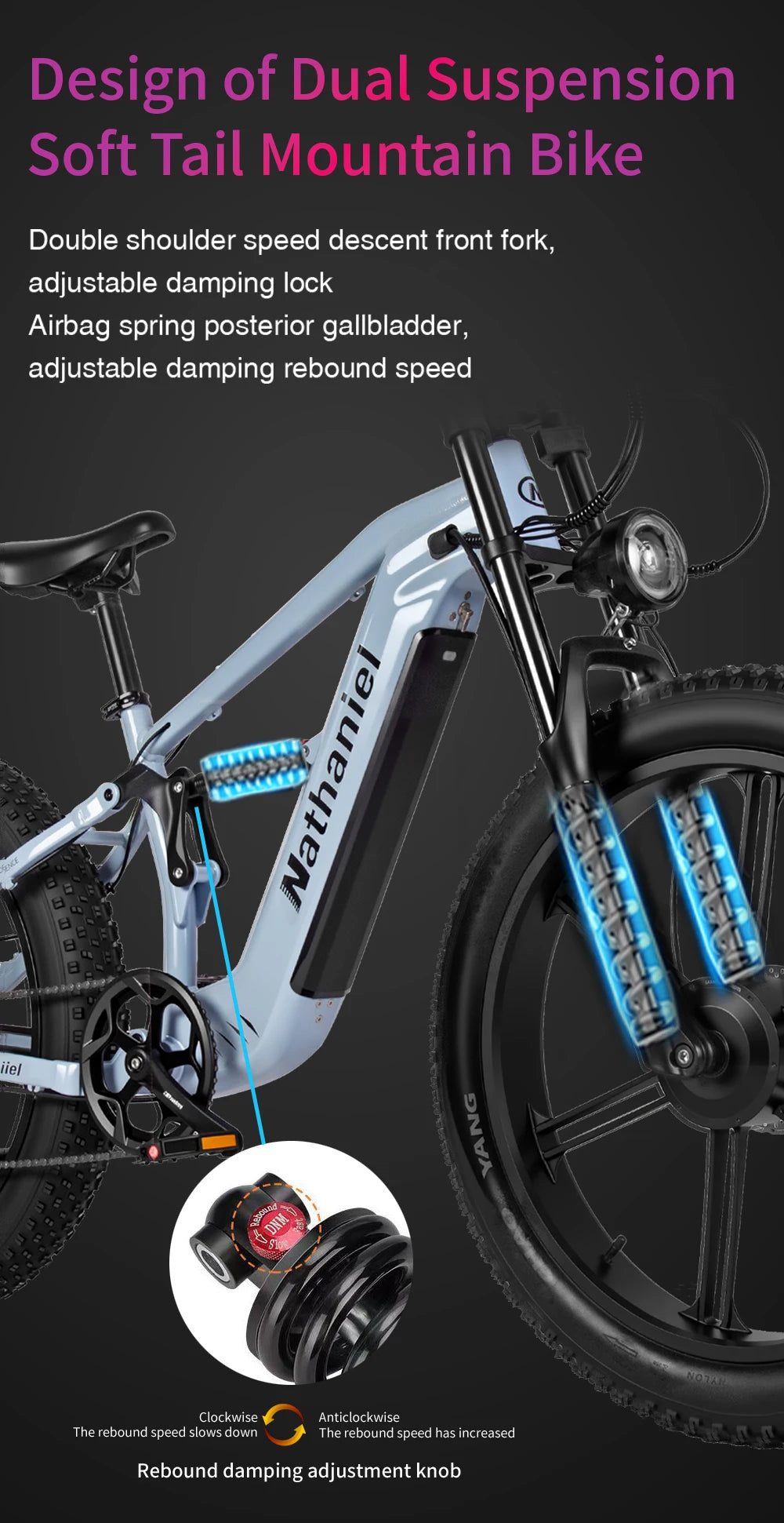 Nathaniel SYR09 26*4.0 electric bike