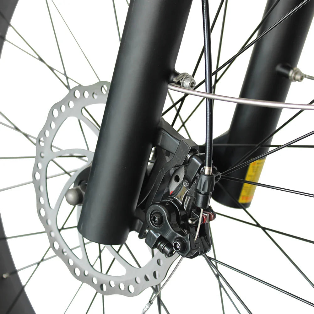 E-Bikes